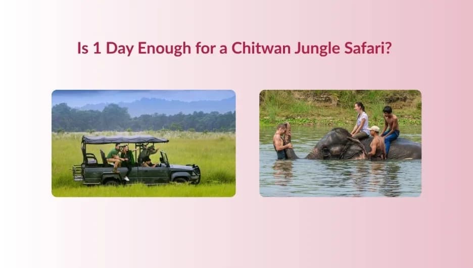 Is 1 Day Enough for a Chitwan Jungle Safari?