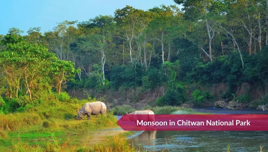 Best seasons to visit Chitwan National Park: Full Guide