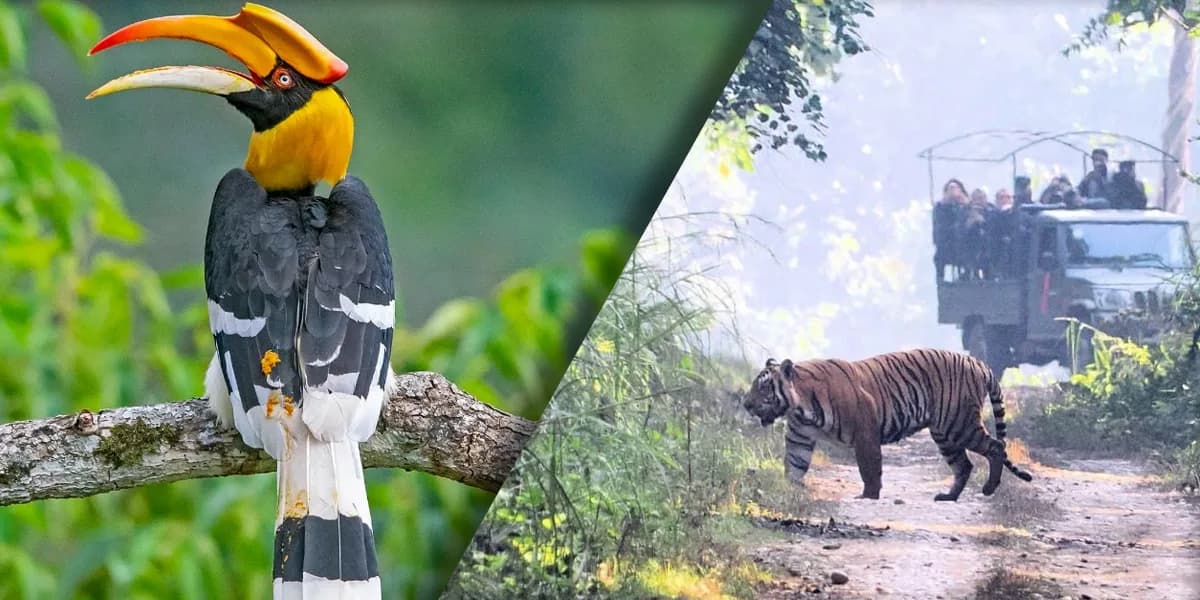 Explore the Wild Beauty of Chitwan: Safaris, Wildlife & Nature