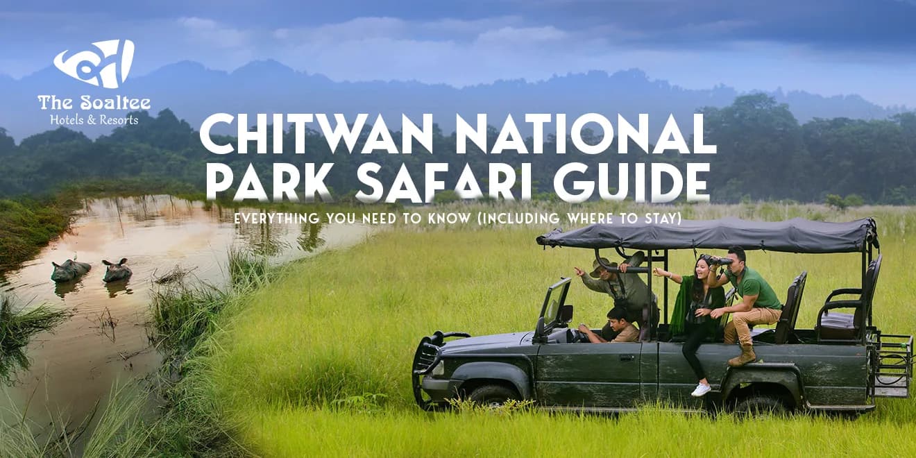 Chitwan National Park Safari Guide: Everything You Need to Know (Including Where to Stay)