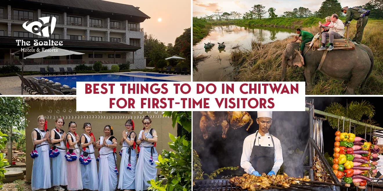 Best Things to Do in Chitwan for First-Time Visitors