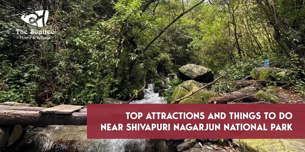 Top Attractions and Things to Do Near Shivapuri Nagarjun National Park
