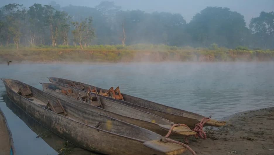 Best Things to Do in Chitwan for First-Time Visitors