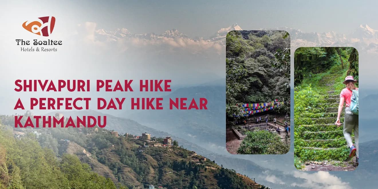Shivapuri Peak Hike: A Perfect Day Hike Near Kathmandu
