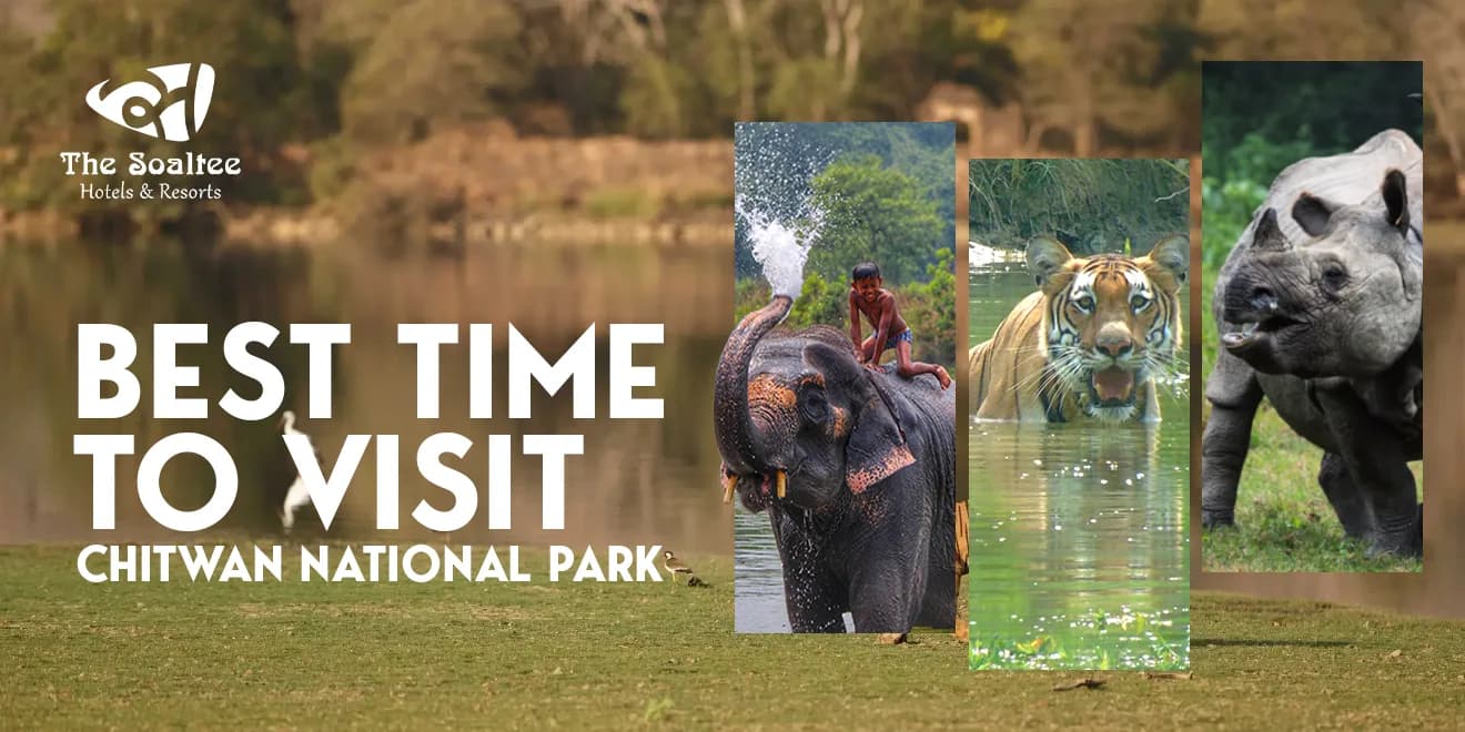 Best Time to Visit Chitwan National Park