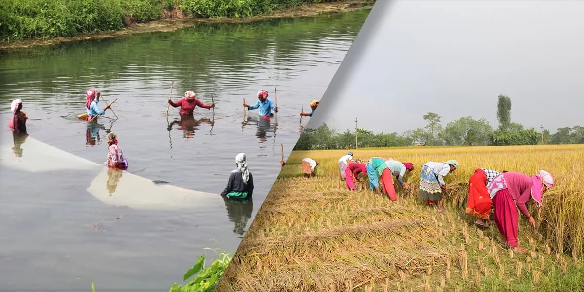 Sustainable Living: Learning from the Tharu People of Nepal