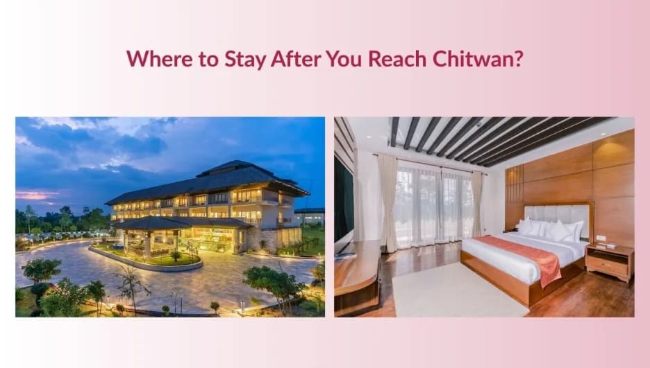 How to Travel from Kathmandu & Pokhara to Chitwan