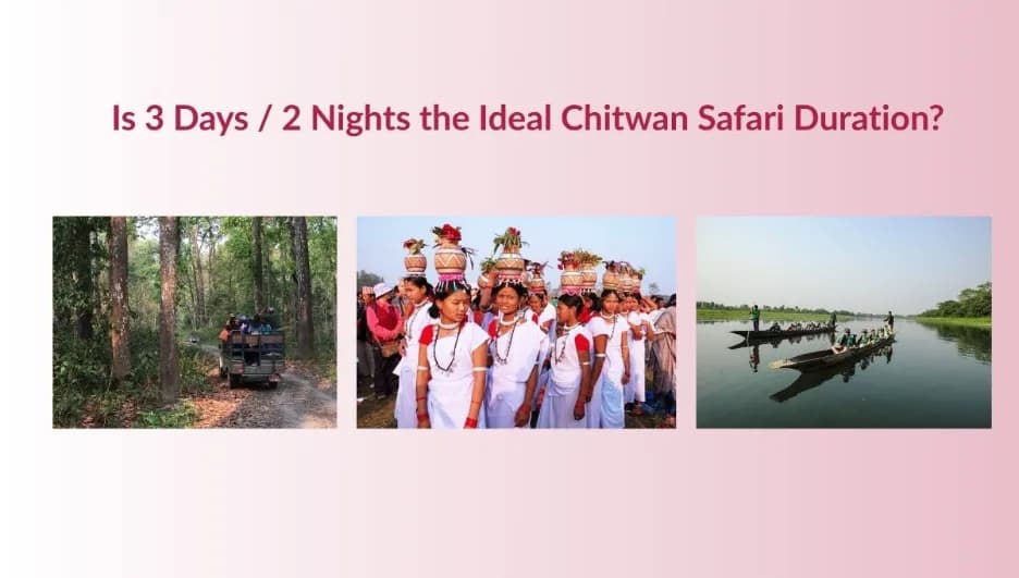 Is 3 Days / 2 Nights the Ideal Chitwan Safari Duration?