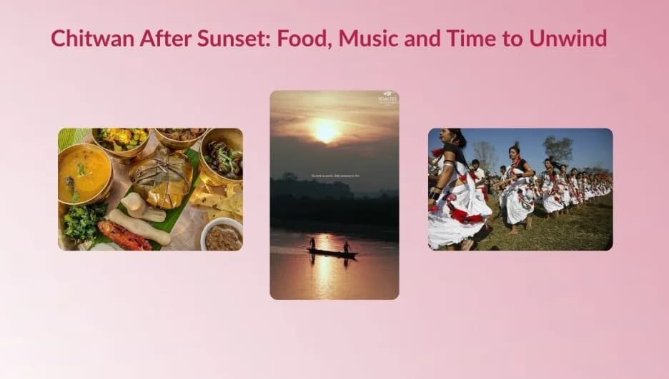 Chitwan After Sunset: Food, Music and Time to Unwind