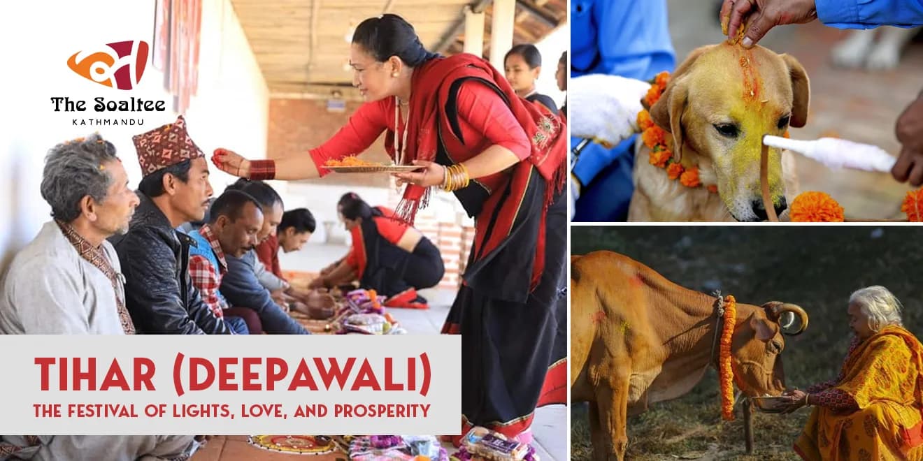 Tihar (Deepawali) : The Festival of Lights, Love, and Prosperity