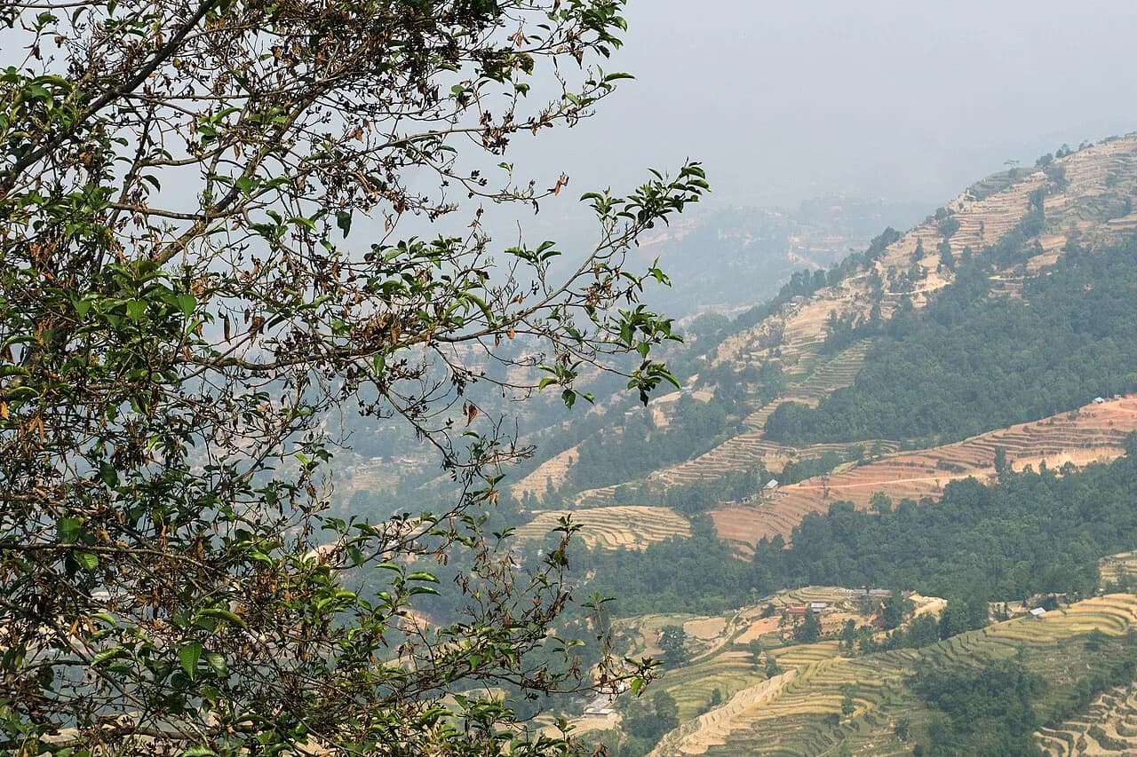 Nagarkot Nature Trail 
