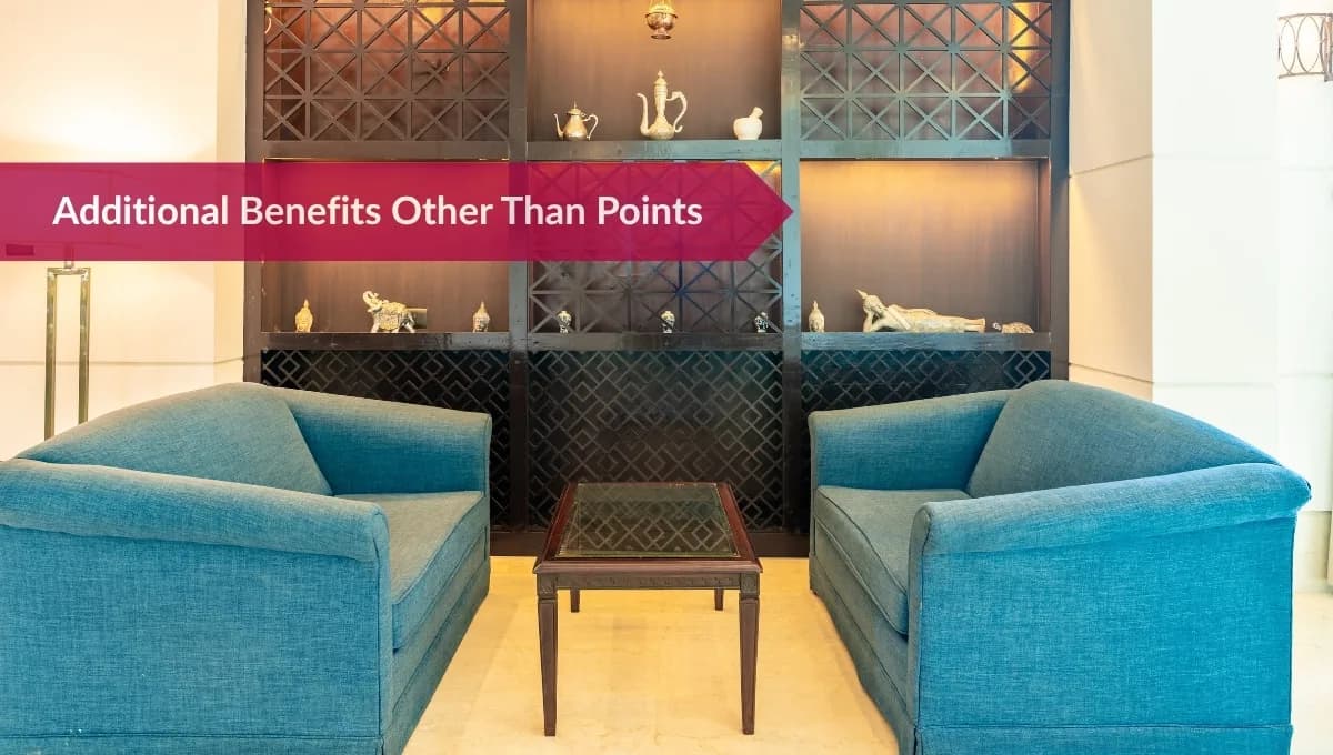 How Do Hotel Loyalty Programs Typically Work?
