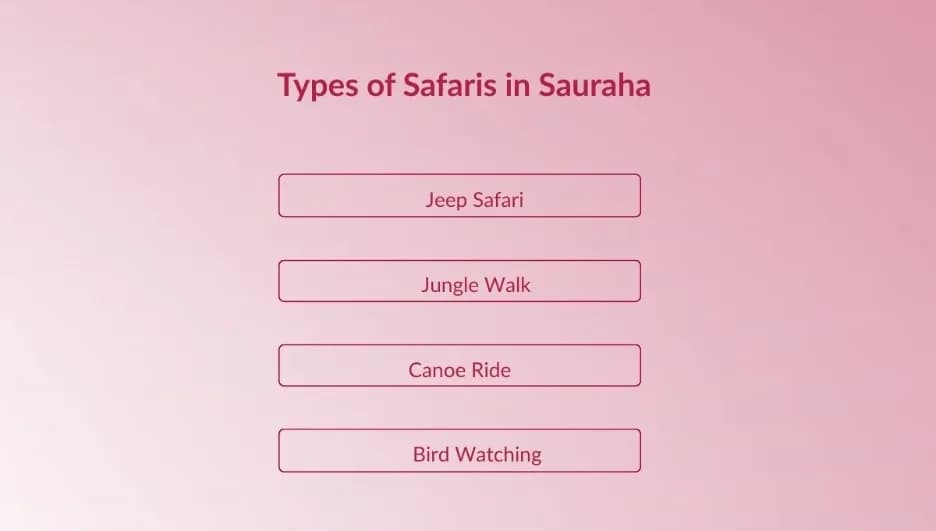 Types of Safaris in Sauraha