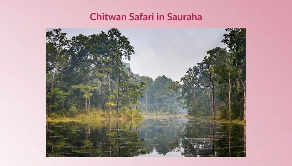 Why Start Your Chitwan Safari in Sauraha?