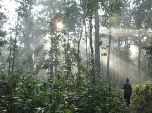 Bardiya National Park
