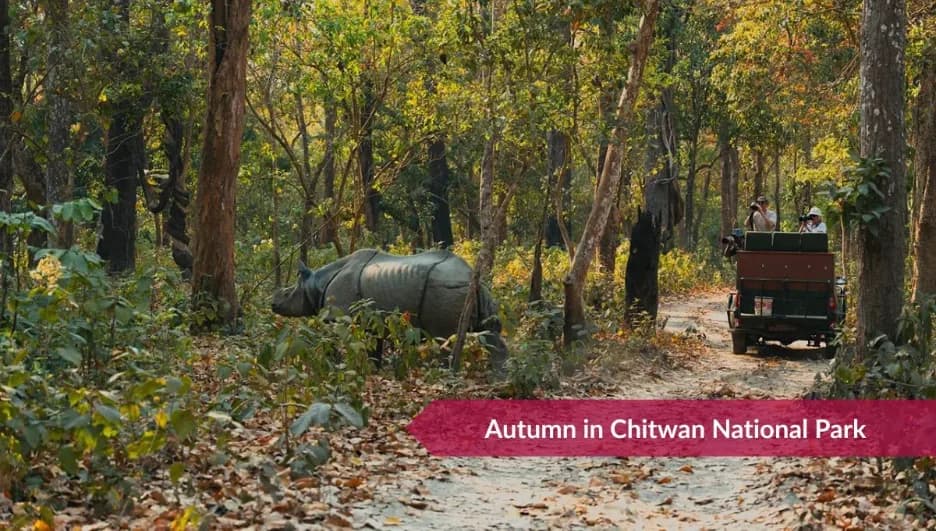 Best seasons to visit Chitwan National Park: Full Guide