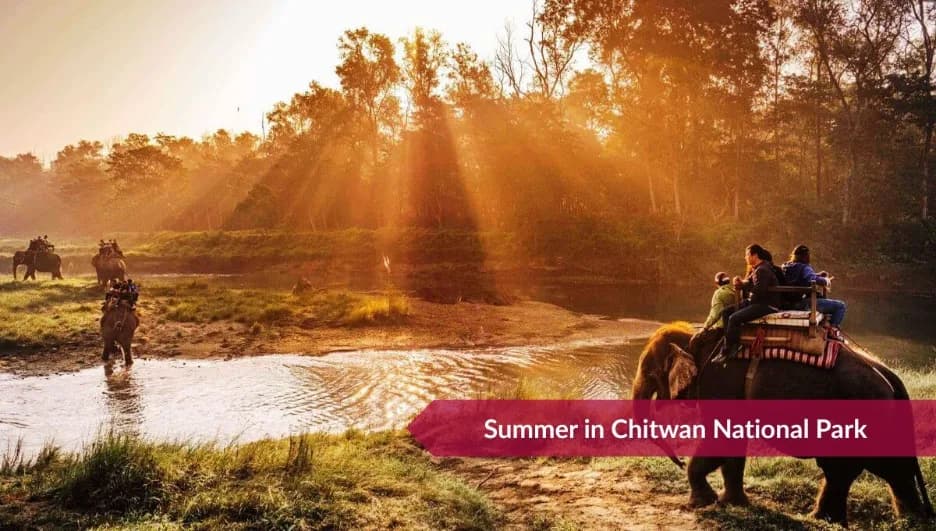 Best seasons to visit Chitwan National Park: Full Guide