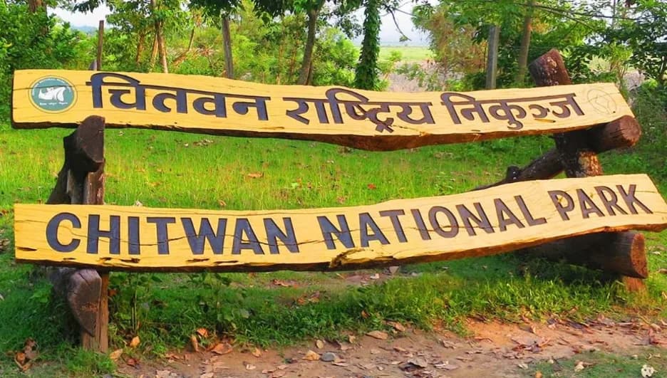 Best Things to Do in Chitwan for First-Time Visitors