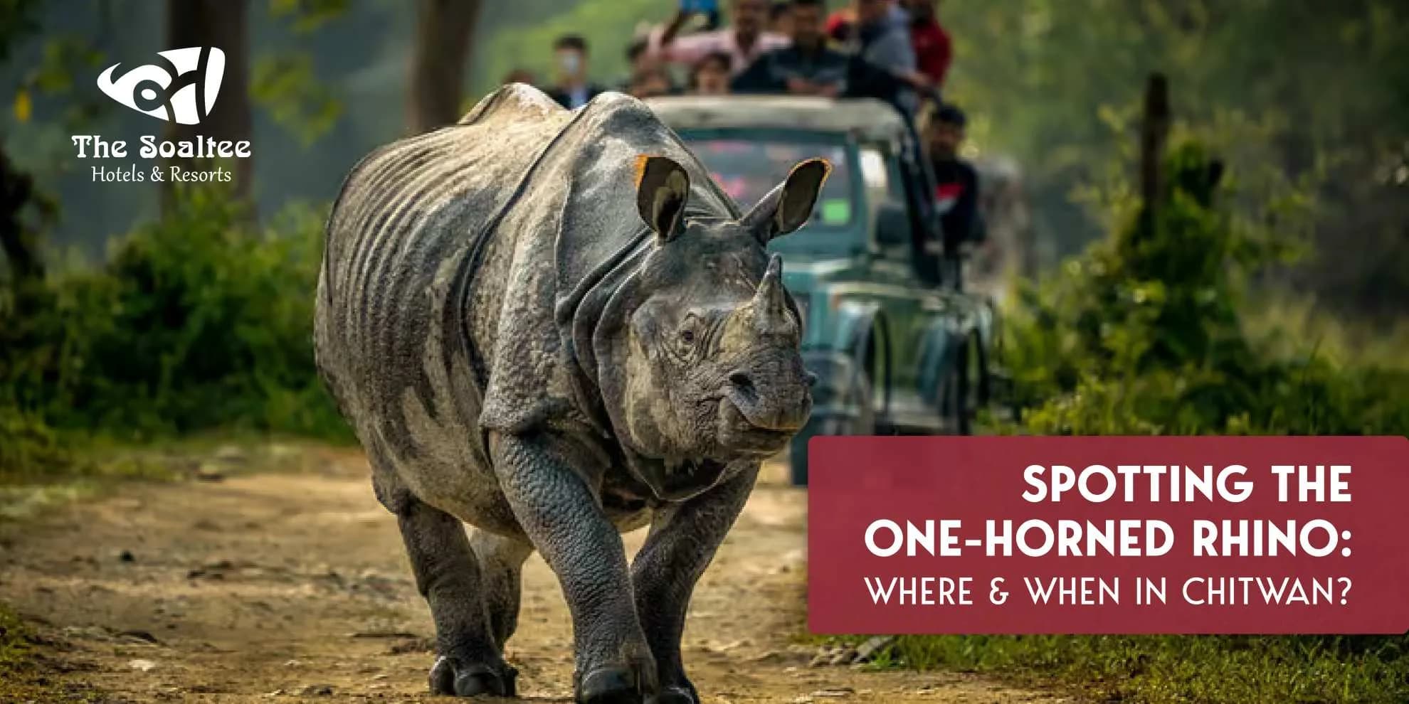 Spotting the One-Horned Rhino: Where & When in Chitwan?