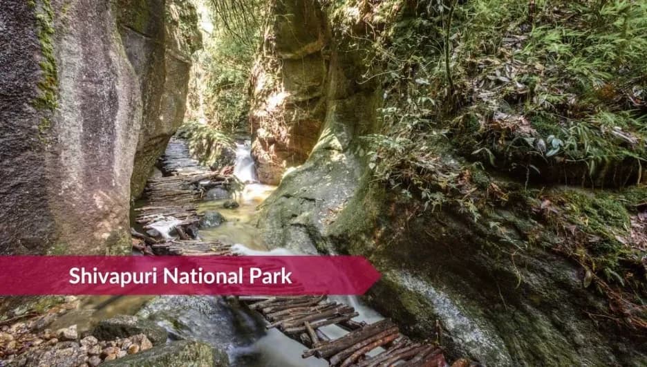 Best Natural Place to Visit in Kathmandu