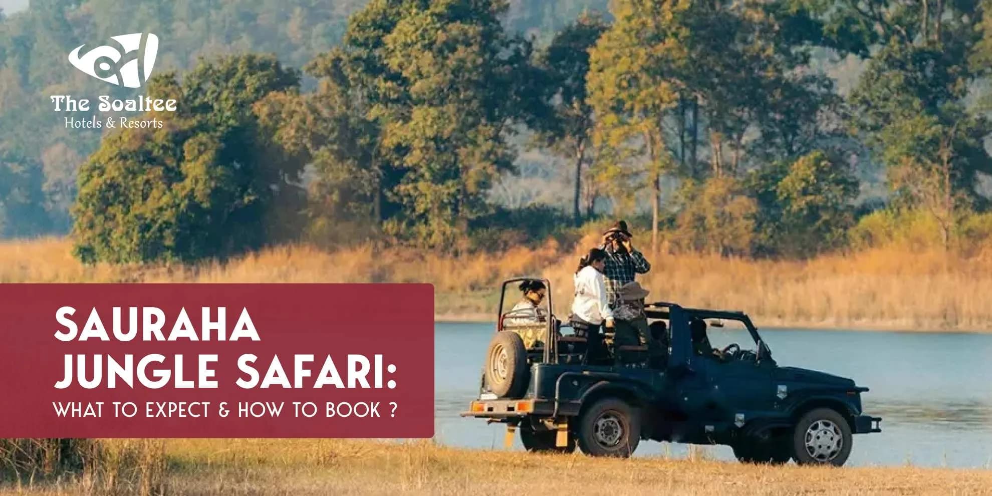 Sauraha Jungle Safari: What to Expect & How to Book?