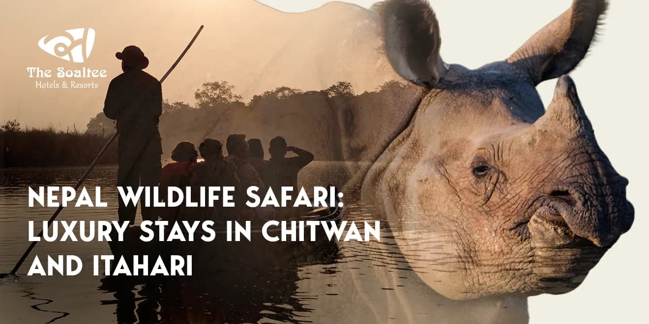 Nepal Wildlife Safari: Luxury Stays in Chitwan and Itahari