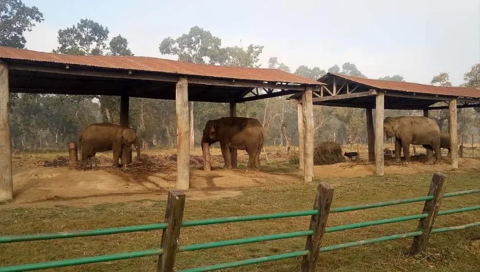 Best Things to Do in Chitwan for First-Time Visitors