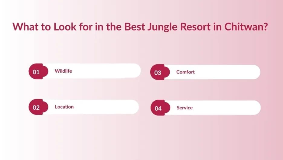 What to look for in the best jungle resort in chitwan?