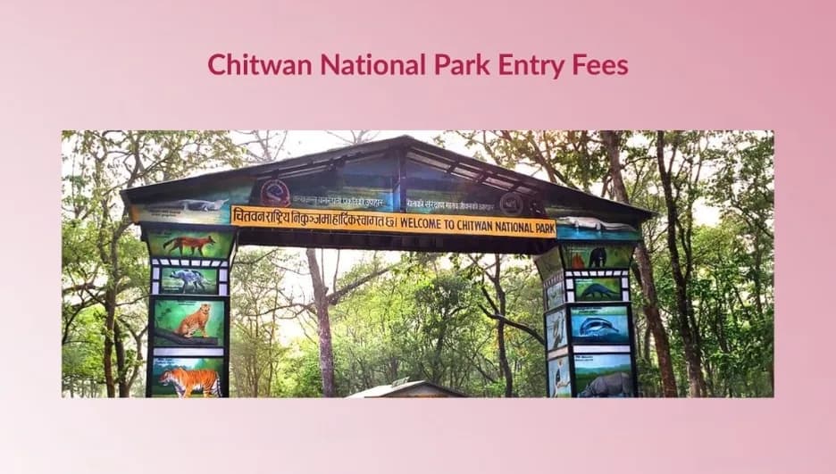 Official Chitwan National Park Entry Fees