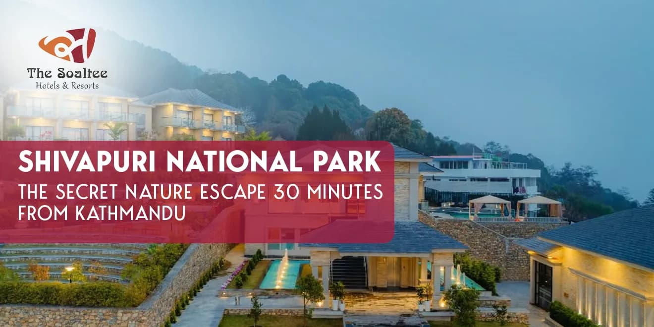 Shivapuri National Park: The Secret Nature Escape 30 Minutes from Kathmandu