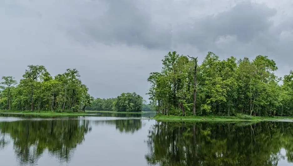 Best Things to Do in Chitwan for First-Time Visitors