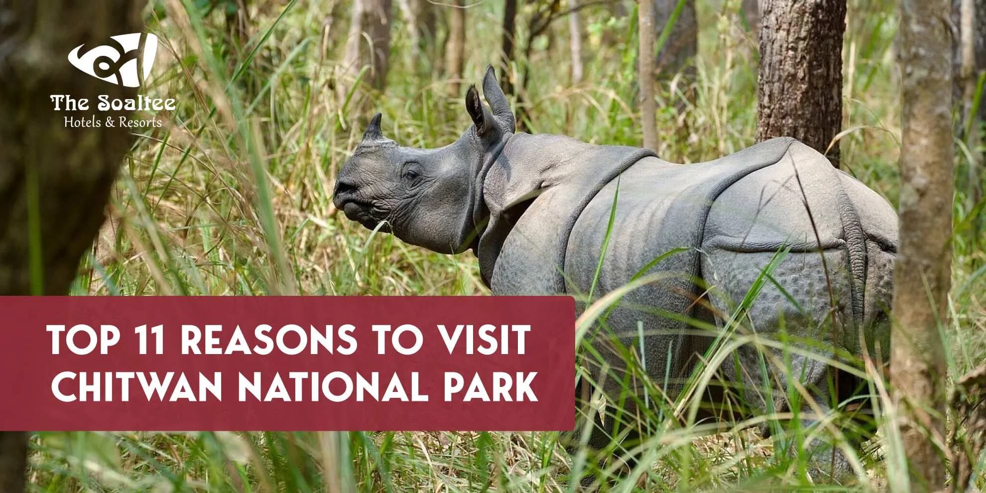 Top 11 Reasons to Visit Chitwan National Park