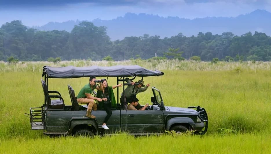 Nepal Wildlife Safari: Luxury Stays in Chitwan and Itahari
