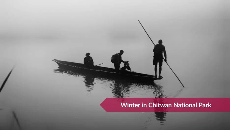 Best seasons to visit Chitwan National Park: Full Guide