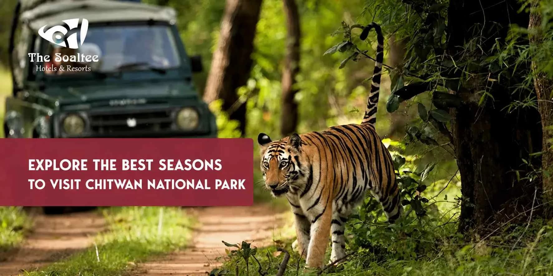Explore the Best Seasons to Visit Chitwan National Park