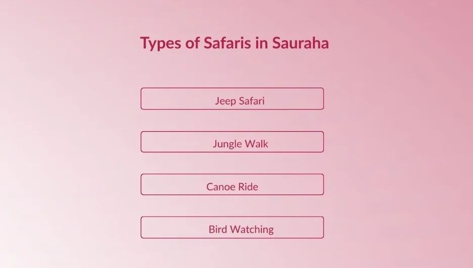 Types of Safaris in Sauraha