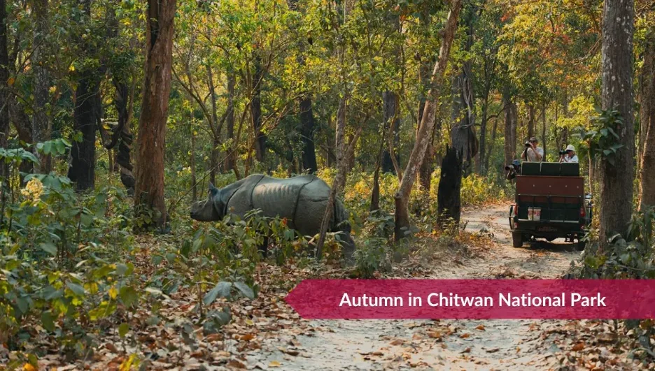 Best seasons to visit Chitwan National Park: Full Guide