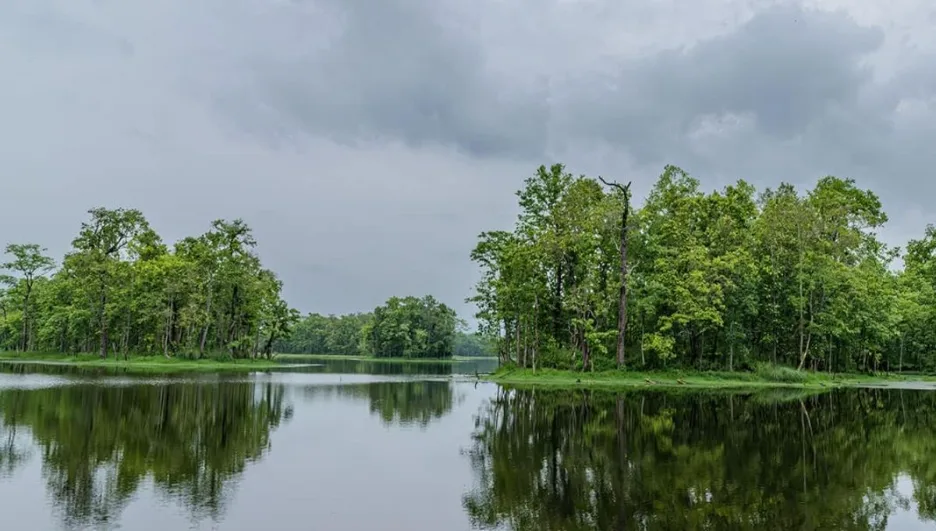 Best Things to Do in Chitwan for First-Time Visitors