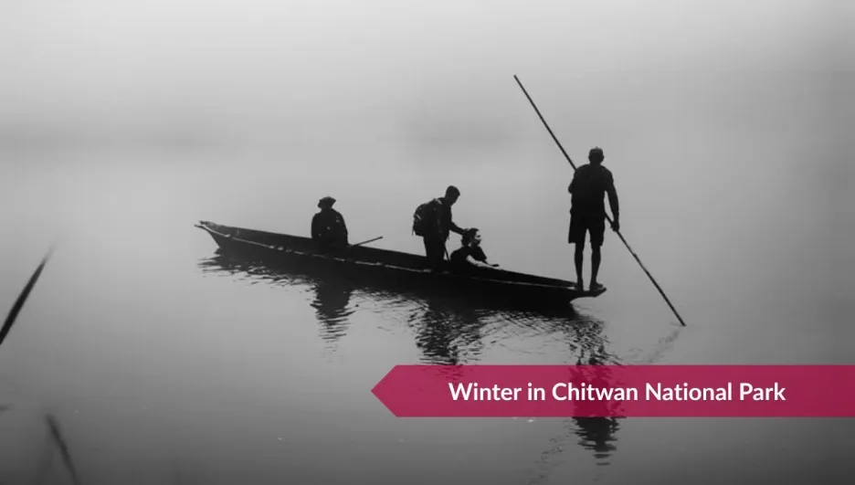 Best seasons to visit Chitwan National Park: Full Guide